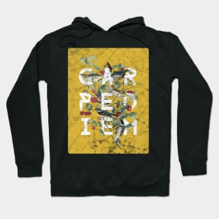 Carpe Diem - Modern Typography with Vintage Birds in Yolk Yellow Hoodie